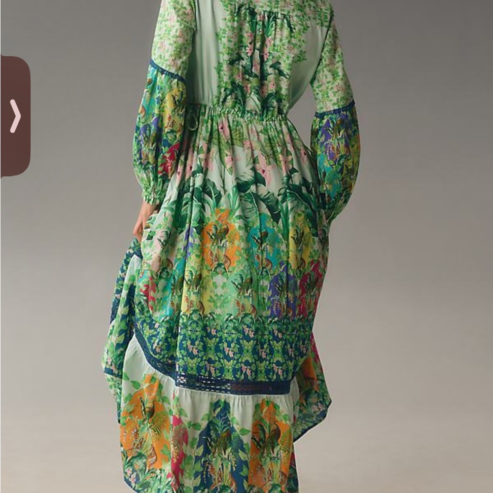 Anthropologiee Elenora Long Sleeve Printed Maxi Dresss - Picture 2 of 8